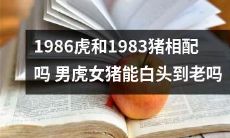 男性虎和女性猪的1986年出生的配对是否合适，他们是否能够长久白头偕老？