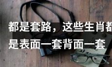 这些生肖表面一套背面一套，都掌握了欺骗技巧的套路