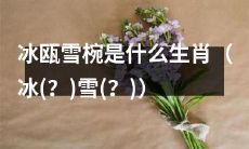 寻找冰瓯雪椀属于哪个生肖(冰(?)雪(?))的答案