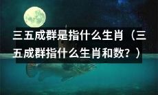 三五成群是指哪些生肖和它们的数量？