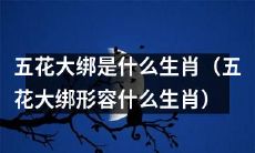 究竟哪种生肖适合用“五花大绑”来形容?
