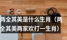 哪个生肖能够“两全其美”——讨好两方家庭？（玩味“两全其美”成语谜语）