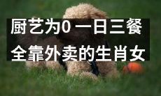 一个没有厨艺的女生,每天仅依赖外卖生存的十二生肖女子