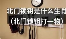 请教生肖专家:根据北门所使用的锁钥打开的物品推测其对应的生肖是什么?