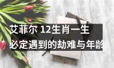 相关的预测：不可错过的艾菲尔塔罗牌12生肖风水预测，揭秘每个生肖在不同年龄阶段必遭遇的劫难和挑战！