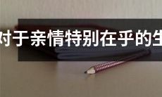 人,他们注定会更加关心家庭,依赖家人的支持和关爱,从而创造更加温馨和和谐的生活环境