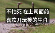 12个生肖中有哪些人不惧死亡，喜欢在上司面前开玩笑？