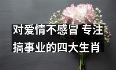 专注于事业，对爱情冷淡：揭秘四大生肖的生活方式及价值观