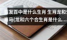生肖龙、生肖马以及六个合生肖，究竟哪些属于百发百中的选手？