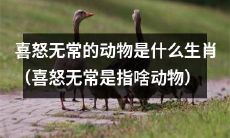 喜怒无常的动物，有哪些生肖是具有这种特征的？