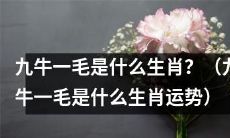 九牛一毛的生肖是什么？它对应的生肖运势如何？