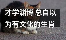 十二生肖中自以为渊博却在文化上空洞的人