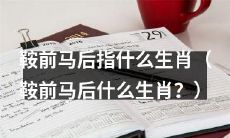 鞍前马后这个成语的具体含义是什么生肖?