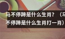 请问“马不停蹄”的意思是指哪个生肖？（“马不停蹄”所指身份的动物属于哪个生肖？）