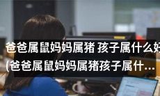 如果爸爸是属鼠，妈妈是属猪，孩子应该属什么才最好呢？