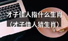 尽显才情风度，寻找特定生肖之才子佳人游戏