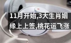 11月阳光灿烂，三大生肖喜获双倍桃花，幸福姻缘缘天定，开启浪漫高潮！