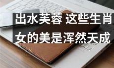 从出水芙蓉到十二生肖女：探究天然美貌的本质