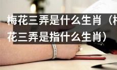 请推断一下“梅花三弄”可能代表哪个生肖？