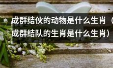 哪些生肖喜欢成群结伙行动呢？（哪些生肖偏爱群体行动？）