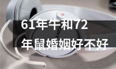 61年龄牛和72年龄鼠的婚姻是否稳定健康？