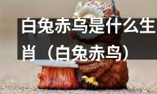 白兔赤鸟：探究其神秘的生肖意义是什么？