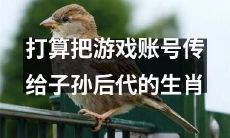 想将游戏账号世世代代传承下去的生肖人士