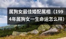 1994年出生的属狗女：命运如何以及最佳婚配属相是哪些？