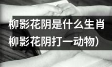 请问,柳影花阴是哪个生肖?将柳影花阴谜语翻译为动物名称