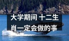 大学生必做之事：探究十二生肖文化的习俗与传统