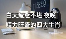 四大生肖：在白天疲惫不堪，在夜晚精力充沛的动物们