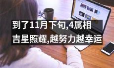 11月下旬迎来四大生肖祥星,尽显努力必得吉祥兆!