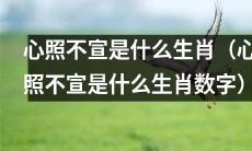 心照不宣的生肖是哪一个？（揭秘心照不宣对应的生肖数字）