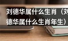 请问刘德华所属的是哪一年的生肖呢？（刘德华的生肖属于哪一年呢？）