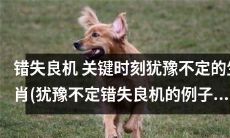 生肖们在关键时刻犹豫不定，因此错失了许多良机