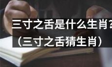 通过猜测三寸之舌，你能猜出它所象征的生肖吗？（猜猜三寸之舌代表哪个生肖？）