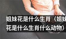 揭秘：姐妹花到底是哪个生肖哪种动物？