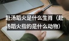 哪些生肖被称为“赴汤蹈火”动物？