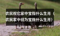 农民在家中所视为珍宝的是哪个生肖？