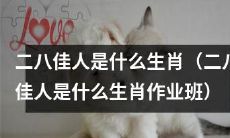 二八佳人是哪个生肖，需要帮助完成的作业班