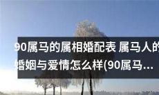 绝对不能错过的必备指南——90属马的完整属相婚配表,揭秘属马人的婚姻与爱情如何,且看90属马女如何选择最佳婚配属相!
