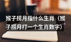 了解猴子捞月的含义及其与哪个生肖数字相关联