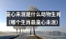 哪个生肖最具有童心未泯的特质？让我们探寻童心未泯是什么动物生肖！