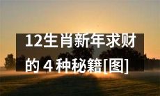 揭秘：如何在新年期间让12生肖大赚特赚的4个财富攻略（包含图示）
