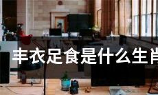 告诉你一个准确无误的答案：哪个生肖表示丰衣足食？