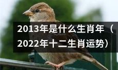 揭秘2022年十二生肖运势，探究2013年的属相是什么？