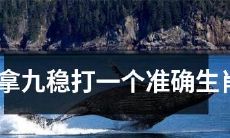 如何确定一个十分准确的中国生肖，保证十拿九稳成功？