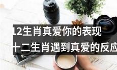 十二生肖如何表现真正的爱意：揭秘遇到真爱时的十二生肖反应