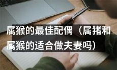 在中国传统文化中,属猴的最佳配偶是属猪吗?——深入探讨属猴和属猪是否适合做夫妻