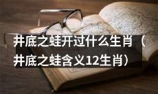 井底之蛙眼界拓展！探究12生肖都有哪些开过的交通工具